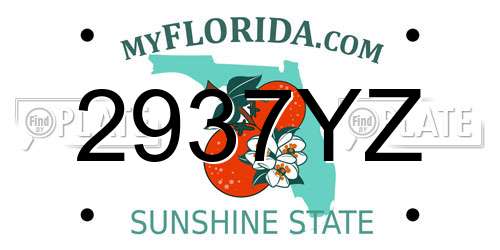 2937YZ Florida License Plate