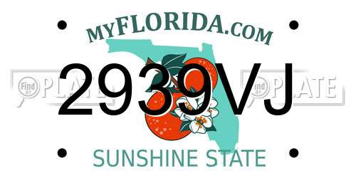 2939VJ Florida License Plate