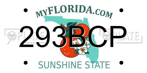 293BCP Florida License Plate