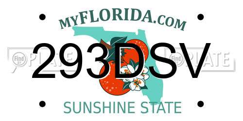 293DSV Florida License Plate