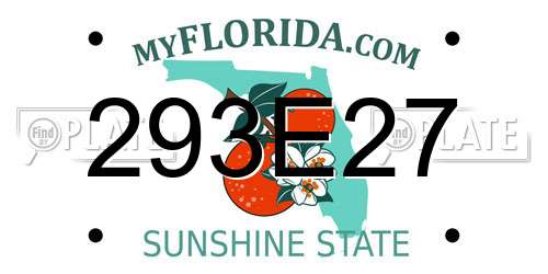 293E27 Florida License Plate