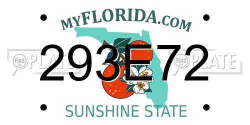 293E72 Florida License Plate