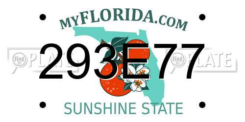 293E77 Florida License Plate