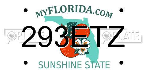 293ETZ Florida License Plate