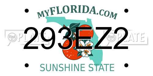 293EZ2 Florida License Plate