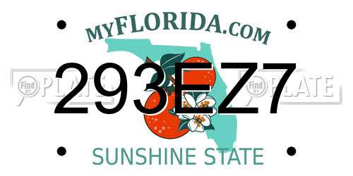 293EZ7 Florida License Plate