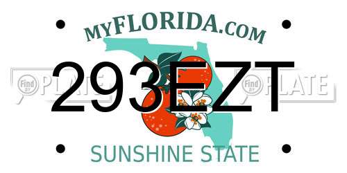 293EZT Florida License Plate