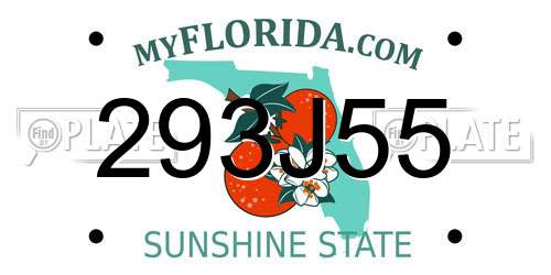 293J55 Florida License Plate