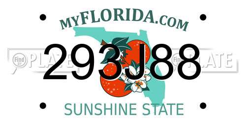 293J88 Florida License Plate