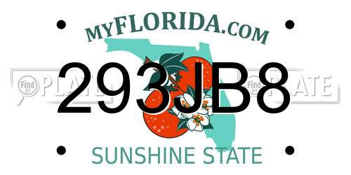 293JB8 Florida License Plate