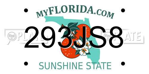293JS8 Florida License Plate