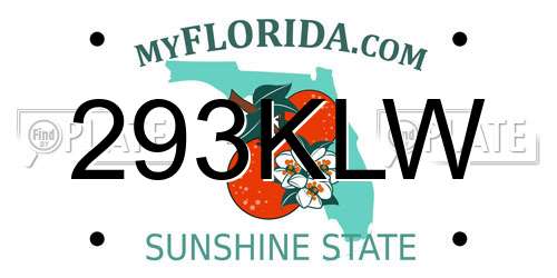293KLW Florida License Plate
