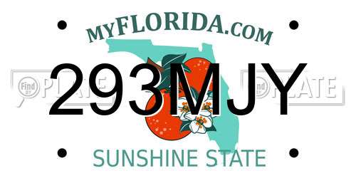 293MJY Florida License Plate