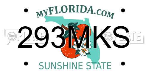 293MKS Florida License Plate
