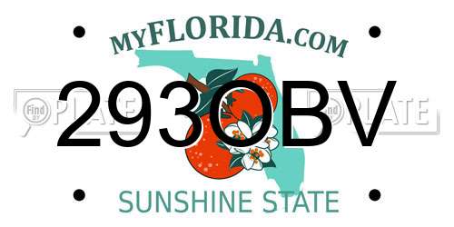 293OBV Florida License Plate