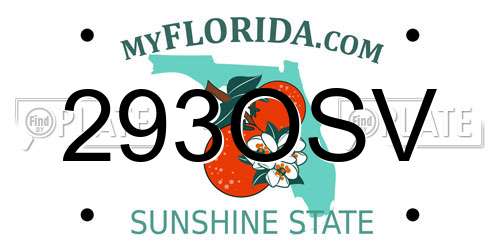 293OSV Florida License Plate