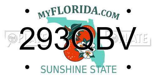 293QBV Florida License Plate