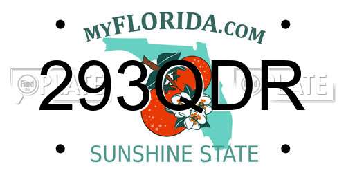 293QDR Florida License Plate