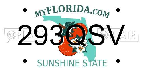293QSV Florida License Plate