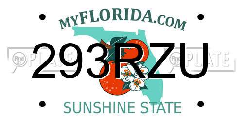 293RZU Florida License Plate