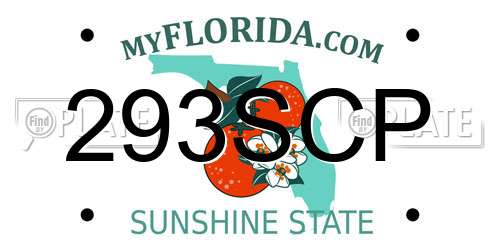 293SCP Florida License Plate