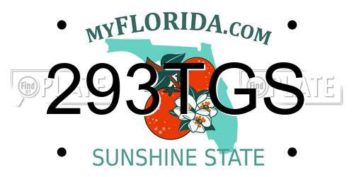 293TGS Florida License Plate