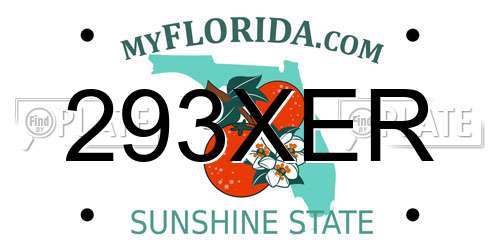 293XER Florida License Plate