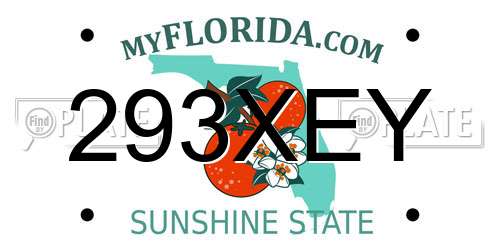 293XEY Florida License Plate