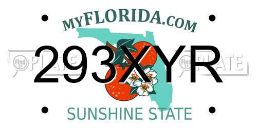 293XYR Florida License Plate