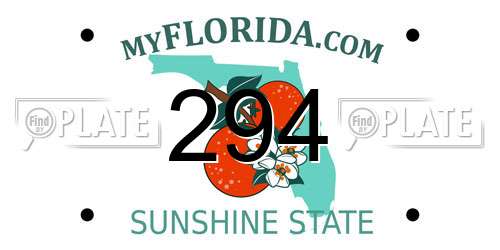 294 Florida License Plate