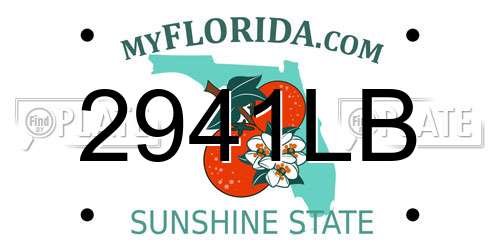 2941LB Florida License Plate