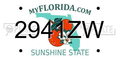 2941ZW Florida License Plate