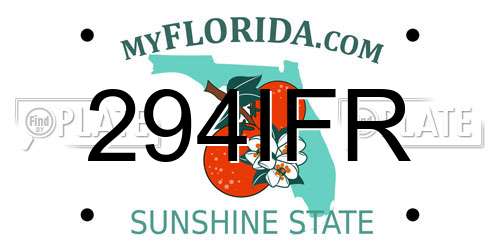 294IFR Florida License Plate