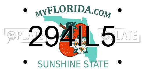 294IL5 Florida License Plate