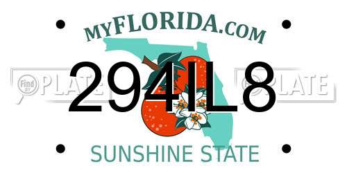 294IL8 Florida License Plate
