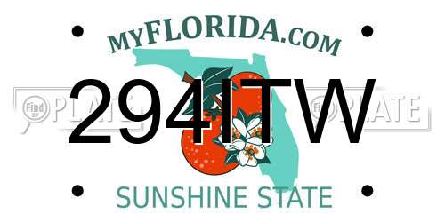 294ITW Florida License Plate
