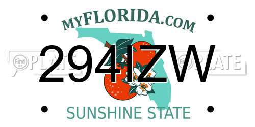 294IZW Florida License Plate
