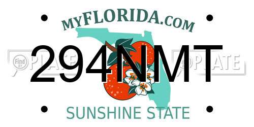 294NMT Florida License Plate