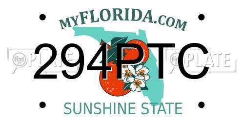 294PTC Florida License Plate