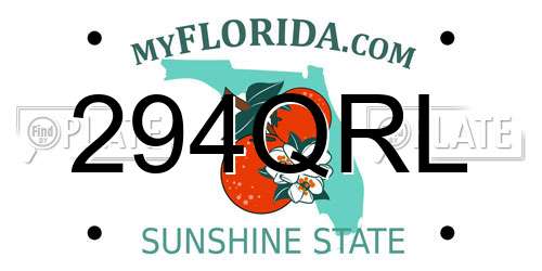 294QRL Florida License Plate