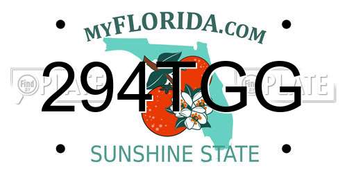 294TGG Florida License Plate