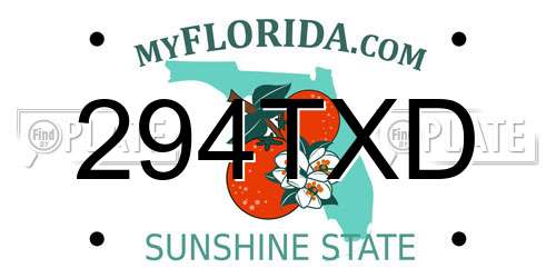 294TXD Florida License Plate