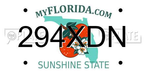 294XDN Florida License Plate