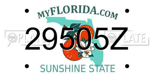 29505Z Florida License Plate