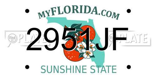 2951JF Florida License Plate