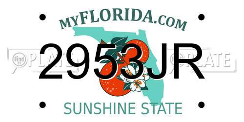 2953JR Florida License Plate