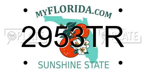 2953TR Florida License Plate