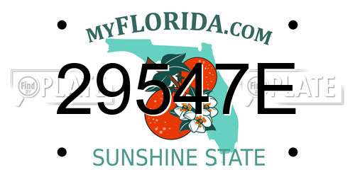 29547E Florida License Plate