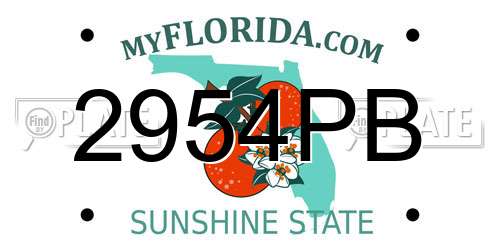 2954PB Florida License Plate