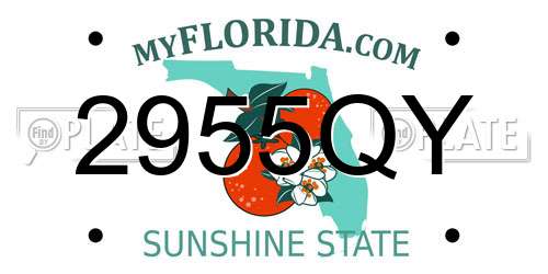 2955QY Florida License Plate
